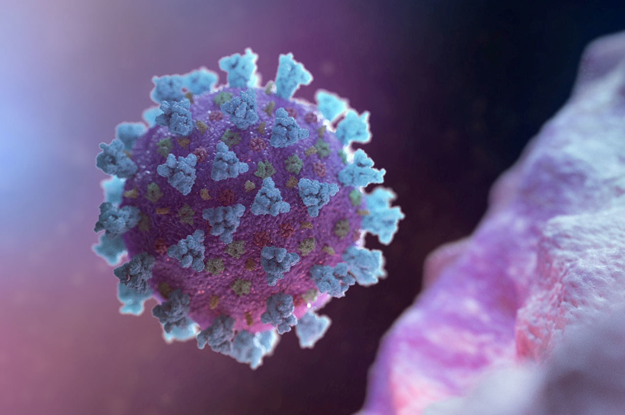 ArsTechnica: Подтверждена гипотеза химерного происхождения коронавируса