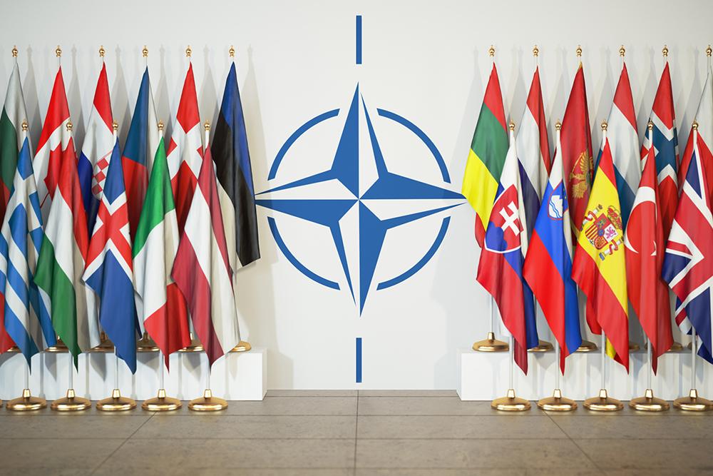 Турция со скандалом покинула первую виртуальную конференцию НАТО