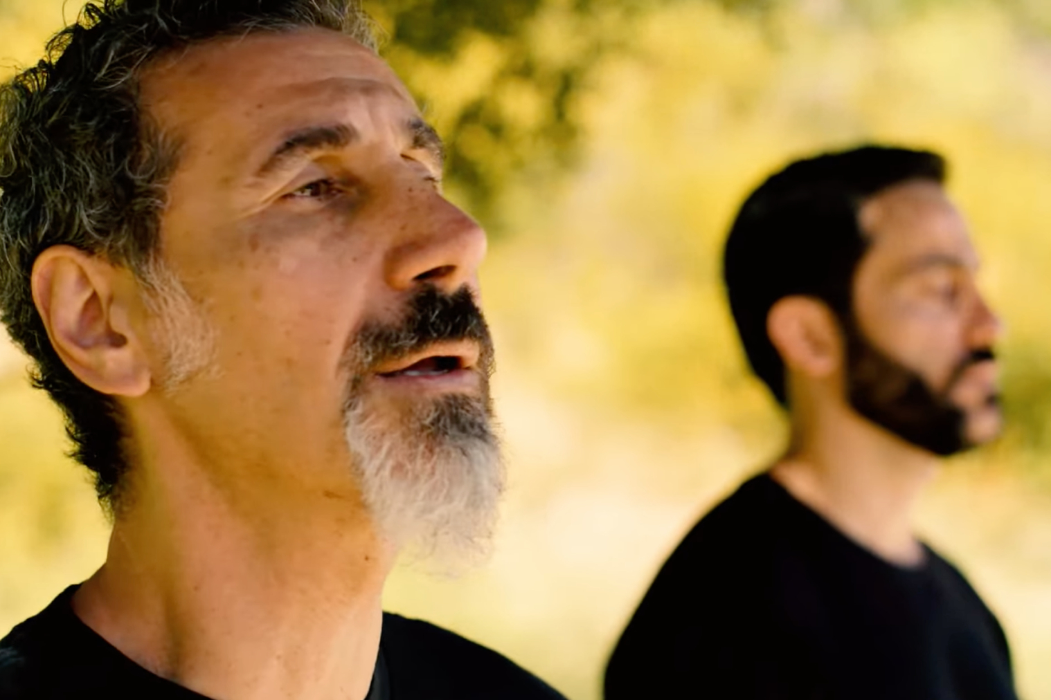 Серж Танкян и Севак Амроян представили совместную песню 