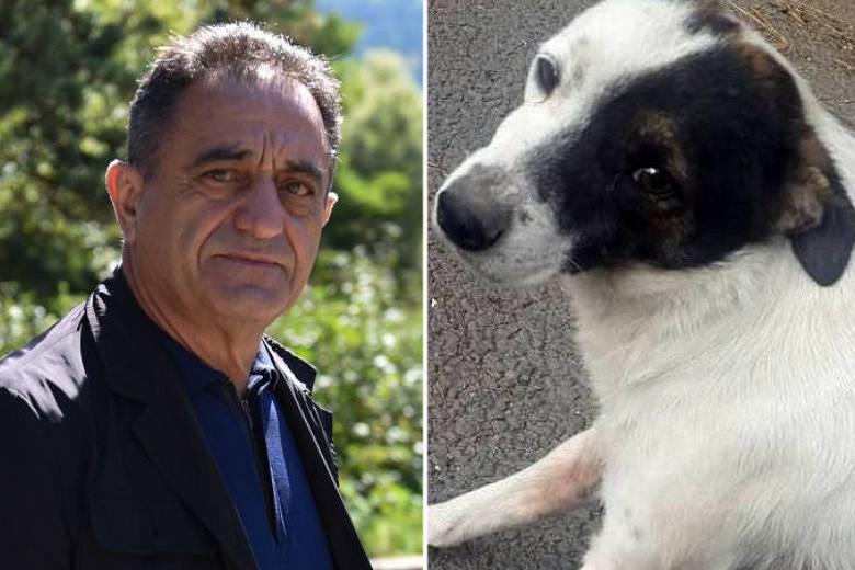 Директору нацпарка «Дилижан» предъявили обвинение за убийство собаки