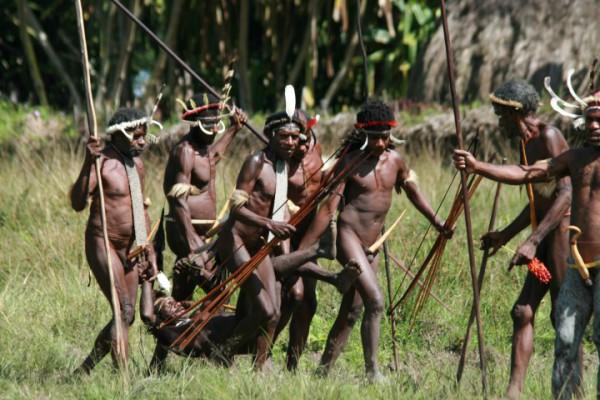 Исследователи говорят, что есть людей безопасно. Исключение — мозг