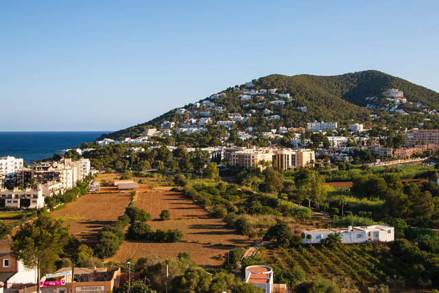 Самый известный курортный остров захватили змеи 