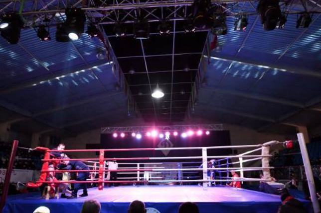 Министерство образования, науки, культуры и спорта РА объявляет конкурс «Армянское наследие бокса»