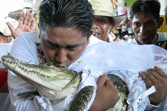 «Союз двух культур»: мэр мексиканского города женился на… самке аллигатора