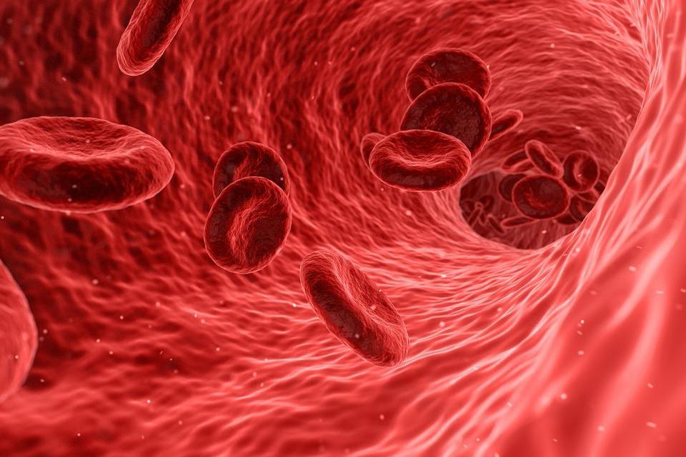 Интересно знать: 10 любопытных фактов о крови