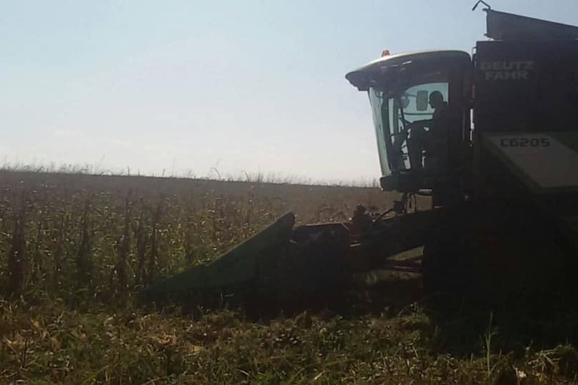 В Аскеранском районе, несмотря на войну, по-прежнему продолжают собирать урожай